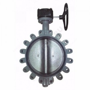 Затвор дисковый поворотный чугун R59FL Ду 350 Ру16 с резьб проушинами с редуктором диск чугун манжета EPDM Giacomini R59FLX035 Затвор дисковый поворотный чугун R59FL Ду 350 Ру16 с резьб проушинами с редуктором диск чугун манжета EPDM Giacomini R59FLX035