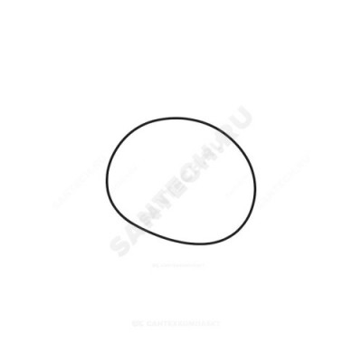 Уплотнение кольцевое O-ring EPDM 177.39x3.53/spare Grundfos 97757659