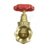Клапан запорный латунь 15б1п Ду 25 Ру16 ВР прямой Китай