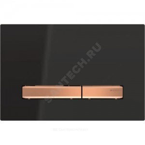 Кнопка для инсталляции Sigma 50 Geberit 115.670.DW.2