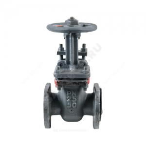 Задвижка клиновая сталь 30с64нж Ду 250 Ру25 фл МЗТА