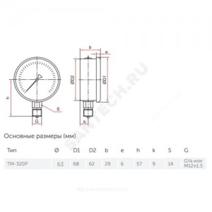 Манометр гидрозаполненный ТМ-320P.20 радиальный Дк63мм 0-2,5 МПа G1/4" силикон Росма 00000031026