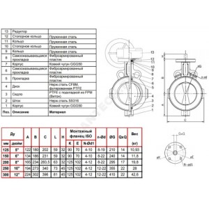 Затвор дисковый поворотный чугун VP4449R-08PTFE Ду 300 Ру10 межфл с редуктором диск нерж манжета PTFE Tecofi VP4449R-08PTFE0300