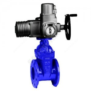 Задвижка чугун 15/42 обрезиненный клин Ду 250 Ру10 фл с эл/приводом Auma NORM AVK Задвижка чугун 15/42 обрезиненный клин Ду 250 Ру10 фл с эл/приводом Auma NORM AVK