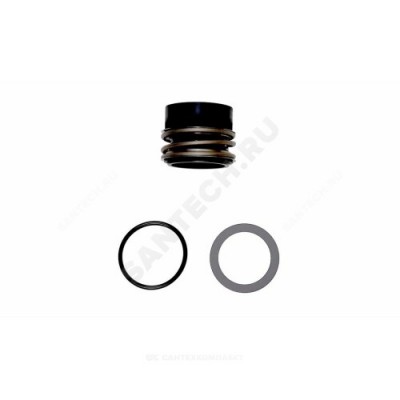 Уплотнение торцевое Shaft seal BQQV GG D48/spare Grundfos 98434941