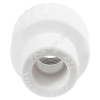 Муфта PP-R комбинированная белая ВР Дн 32х3/4" RTP (РосТурПласт) 10657