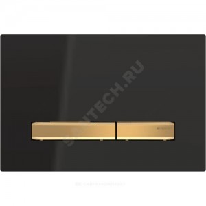 Кнопка для инсталляции Sigma 50 Geberit 115.672.DW.2