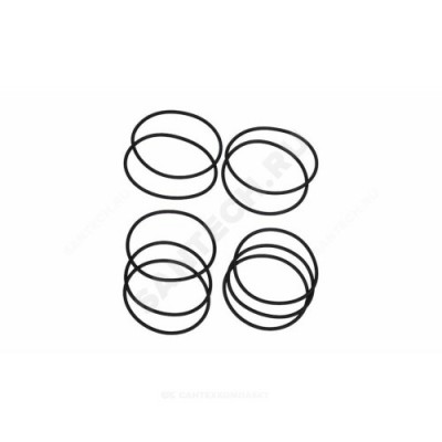 Комплект уплотнительных колец O-ring 210x10 Grundfos 96939298